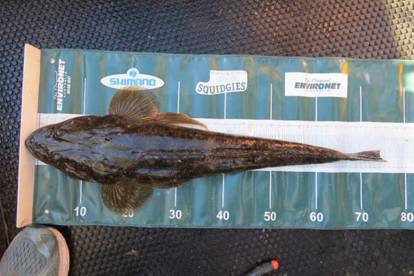 2018-Lake-Tyers-tyers19-125