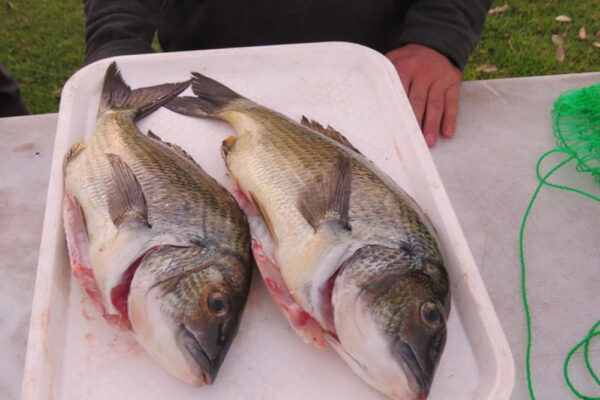 2018-Lake-Tyers-tyers24-130