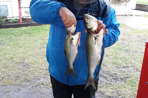2019-Lake-Tyers-004-248