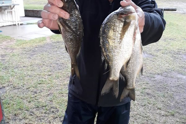 2019-Lake-Tyers-006-250